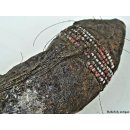 Zauberhorn Mohara ody Nr.2,  Amulett und Fetisch der Sakalava 22 cm ca. 1955