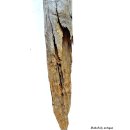 MF176 original AloAlo Grabpfosten Frau mit Tasche 160 cm 1940