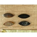 Horn Knopf. BS1130  20mm  VE 10 St&uuml;ck