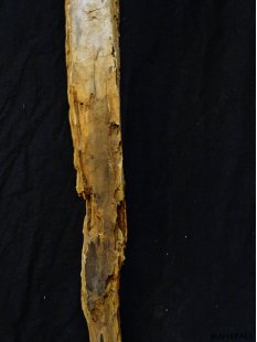 AL190 original AloAlo Grabstele der Mahafaly heiliges Zeburind 190 cm ca. 1955