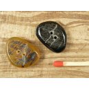 Horn Knopf. BS1131  20mm  VE 10 St&uuml;ck