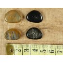 Horn Knopf. BS1131  20mm  VE 10 St&uuml;ck