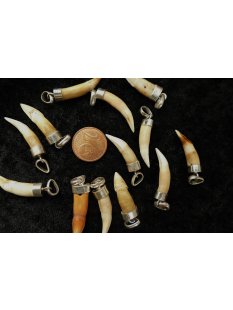 Anh&auml;nger echt Madagaskar Krokodilzahn mit...