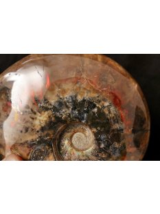 AML08 Madagaskar Ammonit  de luxe 145 mm 804 g Perlmutt