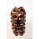 AMN07 Madagaskar Rippen Ammonit Donvilleiceras de luxe 85 mm 267 g