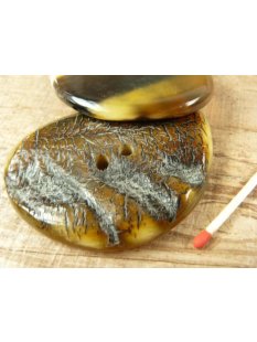 Horn Knopf. BS1131  60mm  VE 5 St&uuml;ck