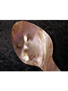 Salatl&ouml;ffel Platon Perlmutt braun Perlmuttsplitter in Epoxid oval 24 cm