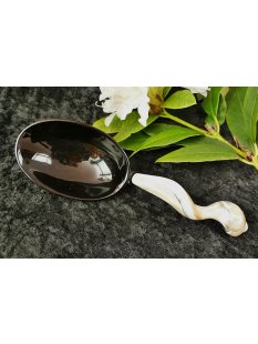 Sch&ouml;pfl&ouml;ffel Triton Schnecke + B&uuml;ffelhorn...