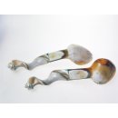 Salatbesteck Watussi Horn + Triton Schnecke Thalia 28 cm = Code K