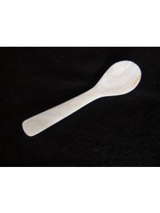 1x Perlmutt L&ouml;ffel Ilias hell irisierend 9 cm handmade fairtrade BIO Natur = Code Z