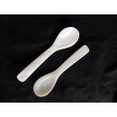 1x Perlmutt L&ouml;ffel Ilias hell irisierend 9 cm handmade fairtrade BIO Natur = Code Z