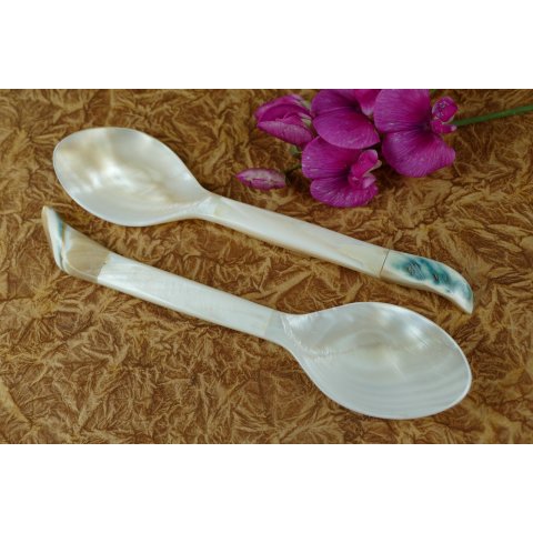 1x Perlmutt Essl&ouml;ffel Philipos 15 cm gro&szlig;e Laffe Perlmutt wei&szlig; + Tritonschnecke