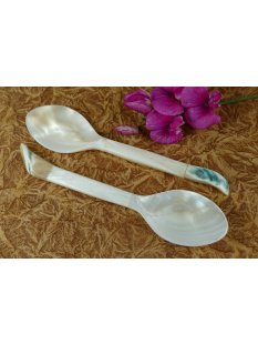 1x Perlmutt Essl&ouml;ffel Philipos 15 cm gro&szlig;e...