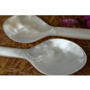 1x Perlmutt Essl&ouml;ffel Philipos 15 cm gro&szlig;e Laffe Perlmutt wei&szlig; + Tritonschnecke