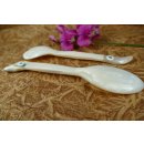 1x Perlmutt Essl&ouml;ffel Philipos 15 cm gro&szlig;e Laffe Perlmutt wei&szlig; + Tritonschnecke