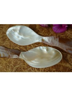 1x Essl&ouml;ffel Sokrates 17 cm Perlmutt hell + Tritonschnecke = Code C