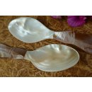 1x Essl&ouml;ffel Sokrates 17 cm Perlmutt hell + Tritonschnecke = Code C