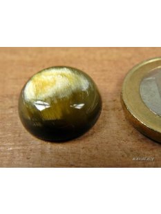 Hornplatten gew&ouml;lbt15 x 15 mm oval gl&auml;nzend poliert