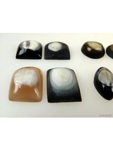 Hornplatten gew&ouml;lbt15 x 15 mm oval gl&auml;nzend poliert