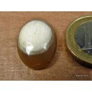 Hornplatten gew&ouml;lbt 15 x 15 mm quadratisch gl&auml;nzend poliert