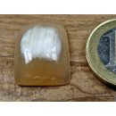 Hornplatten gew&ouml;lbt 15 x 15 mm rechteckig gl&auml;nzend poliert