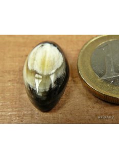 Hornplatten gew&ouml;lbt 15 x 15 mm rund gl&auml;nzend poliert