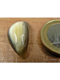 Hornplatten gew&ouml;lbt 15 x 15 mm rund gl&auml;nzend poliert