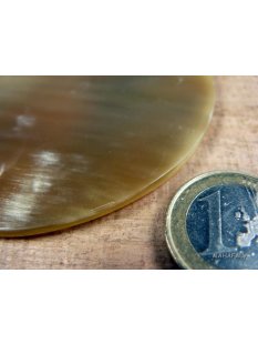 Hornplatten poliert 80 x 80 mm 2.Qualit&auml;t -20% reduziert rund