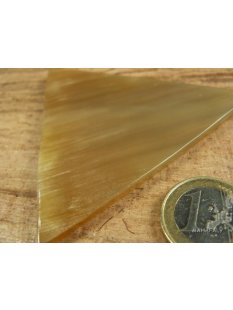 Hornplatten poliert 80 x 80 mm 2.Qualit&auml;t -20% reduziert rund