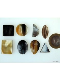 Hornplatten poliert flach 15 x 15 mm oval