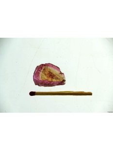 TS67 Turmalinscheibe Rubelit mit Dreieck 11 ct.