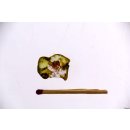 TS73 Turmalin Scheibe polychrome F&auml;rbung 18 mm 12 Ct.