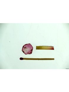 TS79 Wassermelonenturmalin Stab und Scheibe LOT.4,7 Ct.