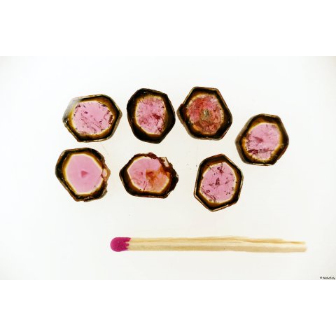 TSL122 Turmalin Rubellit Wassermelone Scheiben aus einem Kristall 18,5 ct.