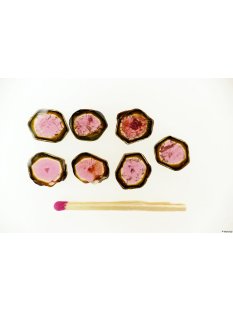 TSL122 Turmalin Rubellit Wassermelone Scheiben aus einem...