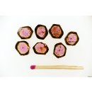 TSL122 Turmalin Rubellit Wassermelone Scheiben aus einem Kristall 18,5 ct.