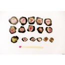 TSL124 Turmalin Rubellit Scheiben 5 - 10 mm aus einem Kristall 43,8 ct.