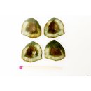 TSL125 Turmalin Querschnitte 4 Scheiben D: 20 mm aus einem Kristall 43,7 ct.
