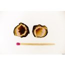 TSL127 Turmalin Rubellit Wassermelone 2 Scheiben D: 17 mm aus einem Kristall 12 ct.