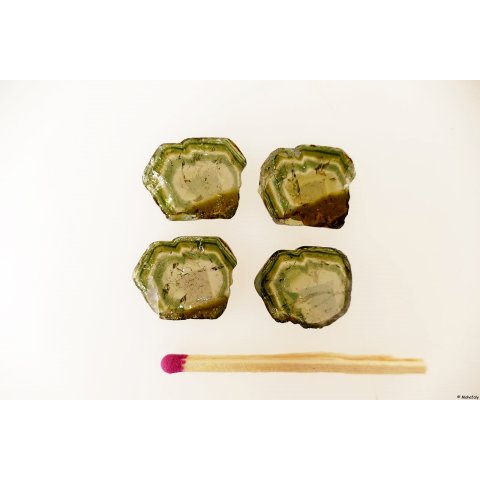 TSL128 Turmalin Querschnitte 4 Scheiben D: 20 mm aus einem Kristall 18,5 ct.