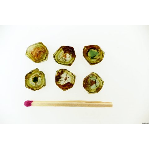 TSL130 Turmalin Querschnitte 6 Scheiben D: 10 mm aus einem Kristall 10,7 ct.