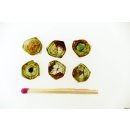 TSL130 Turmalin Querschnitte 6 Scheiben D: 10 mm aus einem Kristall 10,7 ct.