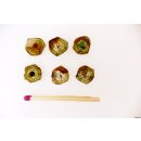 TSL130 Turmalin Querschnitte 6 Scheiben D: 10 mm aus einem Kristall 10,7 ct.