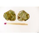 TSL133 Turmalin Querschnitte 2 Scheiben D: 20 mm aus einem Kristall 12,6 ct.