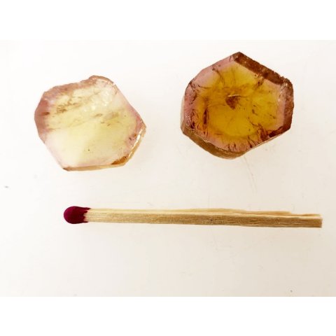 TSL137 Turmalin Querschnitte 2 Scheiben D: 20 mm aus einem Kristall 22,7 ct.