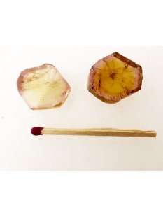 TSL137 Turmalin Querschnitte 2 Scheiben D: 20 mm aus...