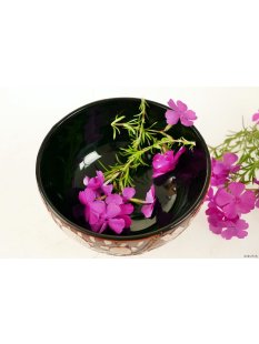 Vietnam Lackschale Bolan aus Holz mit Eierschalen belegt D: 11 cm = Code D