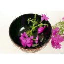 Vietnam Lackschale Bolan aus Holz mit Eierschalen belegt D: 11 cm = Code D