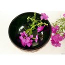 Vietnam Lackschale Bolan aus Holz mit Eierschalen belegt D: 11 cm = Code D