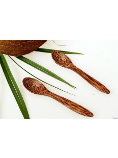 Vietnam Kokosholz Gew&uuml;rzl&ouml;ffel Huan 12 cm = Code X